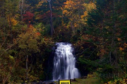 紅葉と雨霧の滝